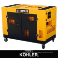 Легкий Move 10kVA китайский генератор двигателя (BM12T)